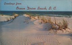 Ocean Drive Beach, SC Sand Dunes and Ocean View Postcard