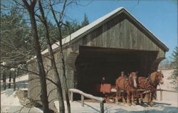 Covered Bridge, Horse-Drawn Sleigh, Old Sturbridge Village Postcard