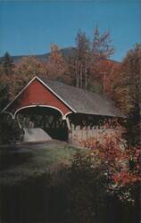 Flume Bridge, Franconia Notch, Autumn Foliage Postcard