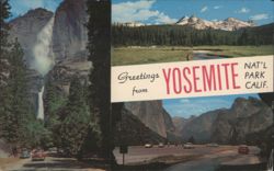 Greetings from Yosemite National Park, California Postcard