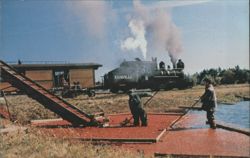 Edaville Railroad No. 8 Train, Cranberry Harvest Postcard