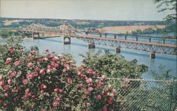 Tennessee River Bridge, Florence, Sheffield, Tuscumbia, AL Postcard