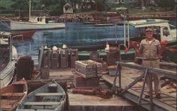 Lobsterman at Annisquam Harbor, Gloucester, MA Postcard