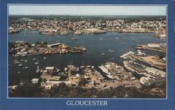 Gloucester Harbor, America's Fishing Fleet Postcard