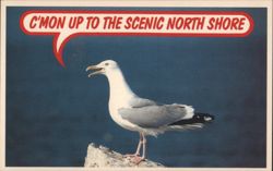 C'mon Up to the Scenic North Shore with Seagull Postcard