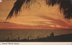 Tropical Florida Sunset Postcard