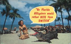 Florida Alligators BITE than SWITCH, Woman in Bikini, Beach Postcard