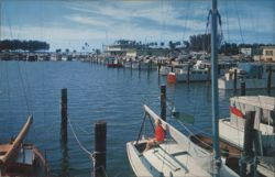 Clearwater Beach Marina, Playgrounds and Parks Postcard