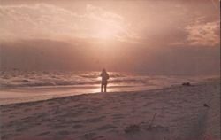 The Mighty and the Humble, Florida's Miracle Strip Sunset Postcard