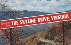Skyline Drive, Virginia - Mountain Road, Autumn Foliage Postcard