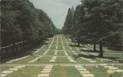 The Moravian Graveyard, Winston-Salem, NC Postcard