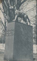 Catamount Tavern Marker, Stephen Fay's Historic Tavern Site Postcard