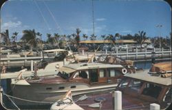 Yachts Docked at Bahia-Mar Yacht Basin, Fort Lauderdale, FL Postcard