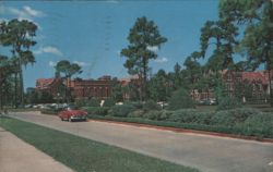 University of Florida Campus Scene, Gainesville Postcard