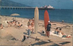 Surfers & Malibu Pier, Adamson Point, Malibu CA Postcard
