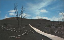 Devastation Trail, Kilauea Iki Volcano Eruption Aftermath Postcard