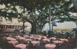 Moana Hotel Banyan Court Lanai, Honolulu Postcard