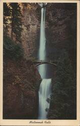 Multnomah Falls, Columbia River Scenic Highway Postcard
