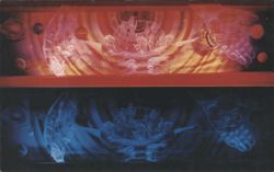Abundant Life Mural, Oral Roberts University, Tulsa, OK Postcard