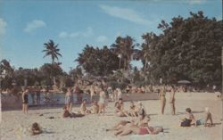 The Venetian Pool, Coral Gables, Florida Postcard