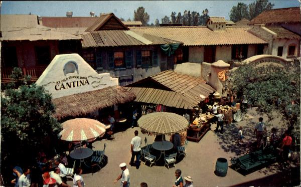 Items From India Disney