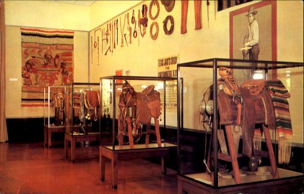 Saddle Room Horses