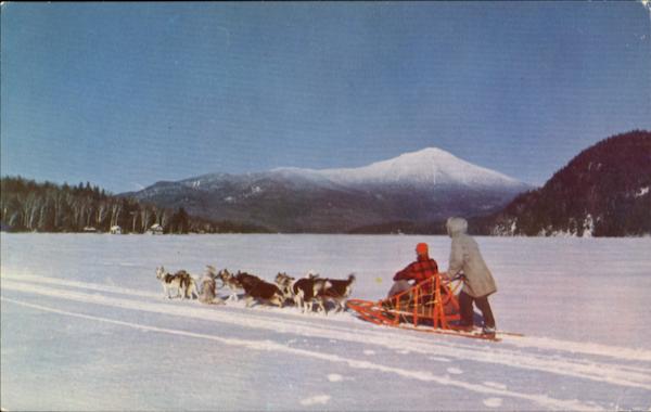 Husky Dog Team Alaska