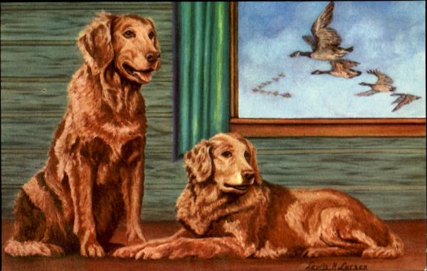 The Golden Retriever Dogs