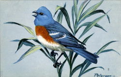 Stock #151563 Thumbnail