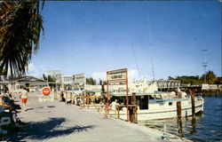 Charter Boats At Hillsboro Inlet Docks Pompano Beach, FL Postcard Postcard