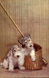 Puppies in Fishing Basket Dogs Postcard Postcard