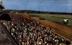 Rockingham Park Postcard