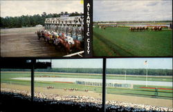 Atlantic City Race Course Horse Racing Postcard Postcard