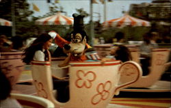 Goofy Goes For A Spin Postcard