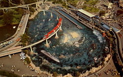 Tomorrowland Postcard