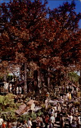 Rising 70 Feet Over The Jungle In Adventureland Postcard