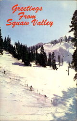 Greetings From Squaw Valley Postcard