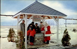 The Wishing Well, Christmas park Albion, NY Postcard Postcard