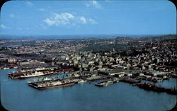 Aerial View Of Auckland Postcard