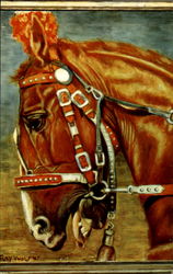 Liberty Horse Horses Postcard Postcard