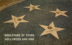 Boulevard Of Stars Postcard