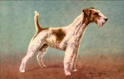 Wire-Haired Fox Terrier Postcard