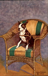 The Boston Terrier Postcard