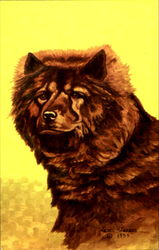 The Chow Chow Postcard