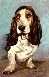 The Basset Hound Postcard
