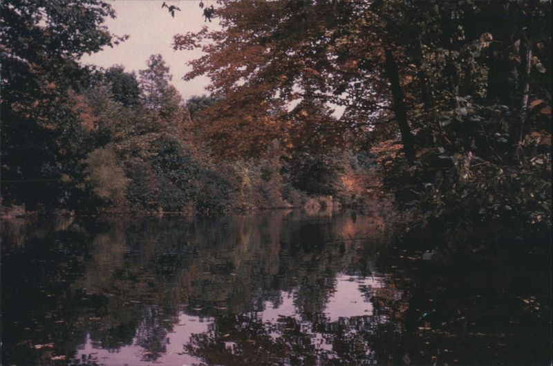 Autumn's Artistry on Cussewago Creek, Meadville, PA Pennsylvania
