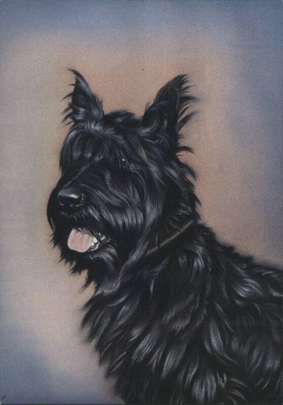Fala, Franklin D. Roosevelt's Scottie Pastel Drawing