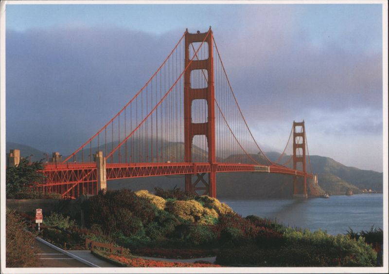 Beautiful Flowers Embrace Golden Gate Bridge, San Francisco California