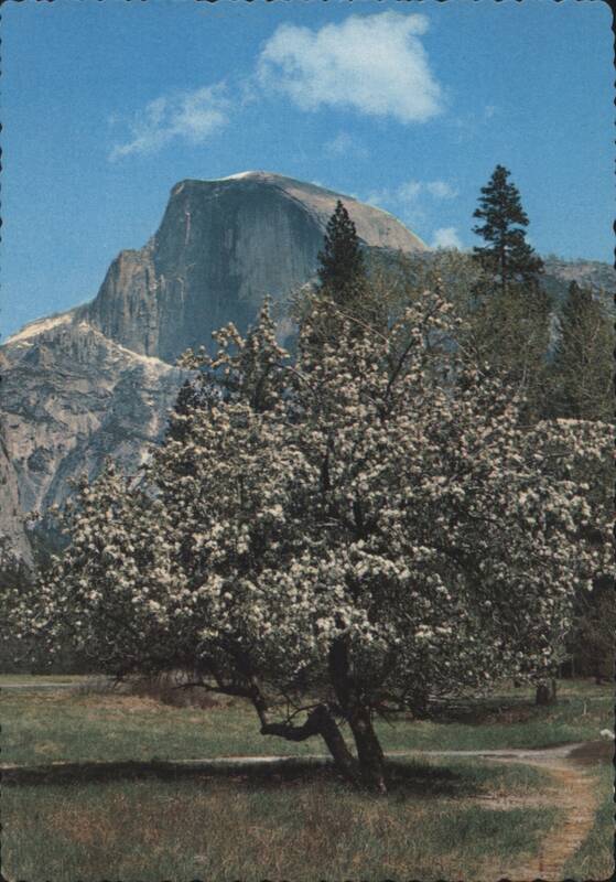 Half Dome, Spring, Yosemite National Park California