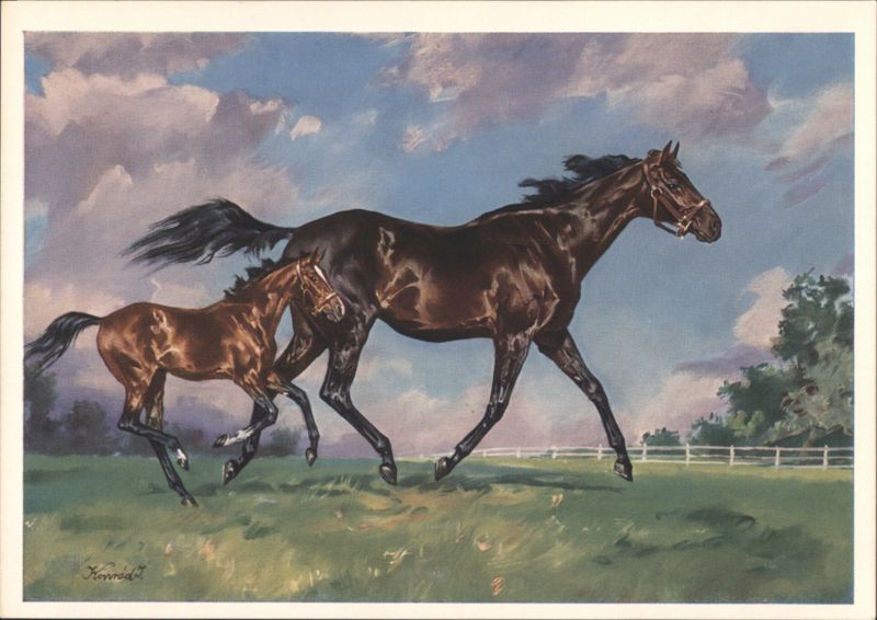 Thoroughbreds at Large - Mare and Foal Running J. Konrad